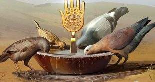 photo5866213702250901645 1 310x165 - بنوش از چشمهٔ دستان عبّاس(ع)