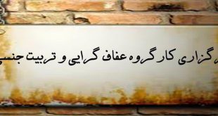 photo 2019 08 06 15 34 05 310x165 - کارگروه عفاف گرایی و تربیت جنسی